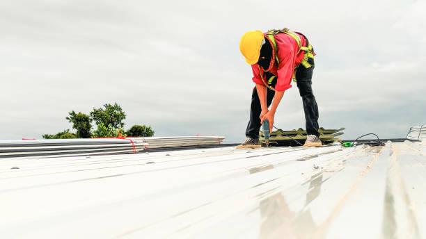 Best Steel Roofing  in Riverdale, CA